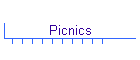 Picnics